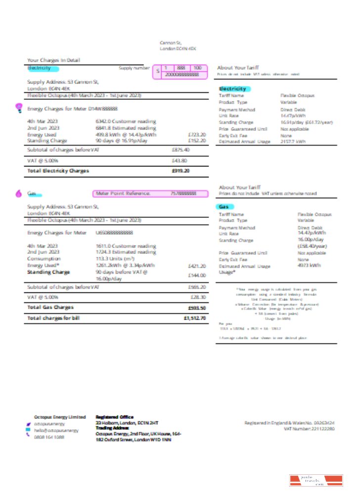 Octopus Energy utility business bill SCR page 2 PSD template